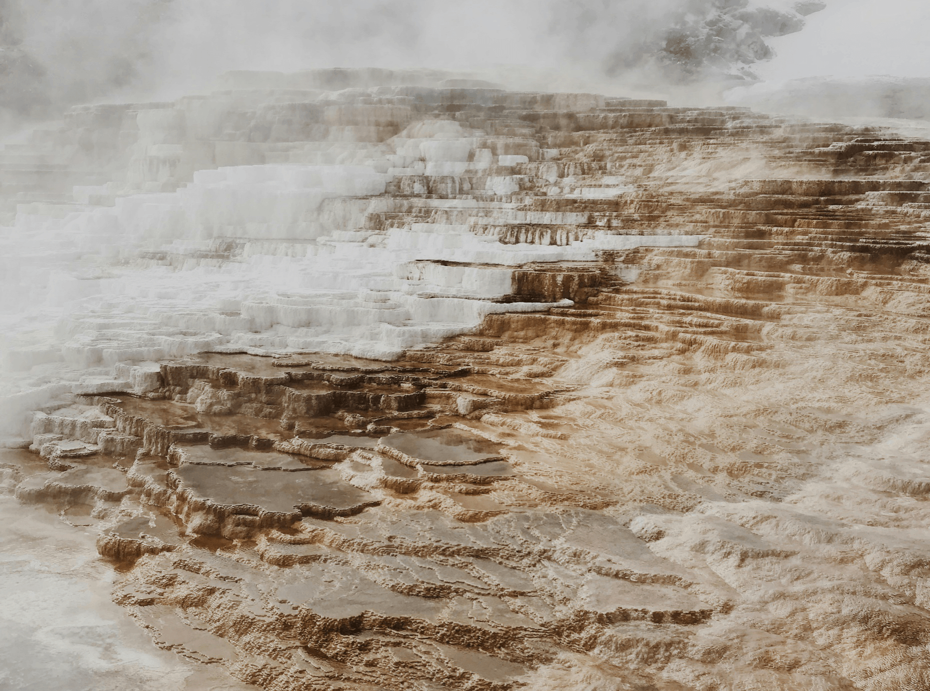 Desert landscape with vehicle